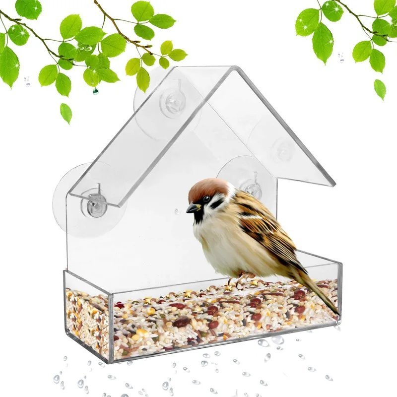 Our Clear Window Bird Feeder