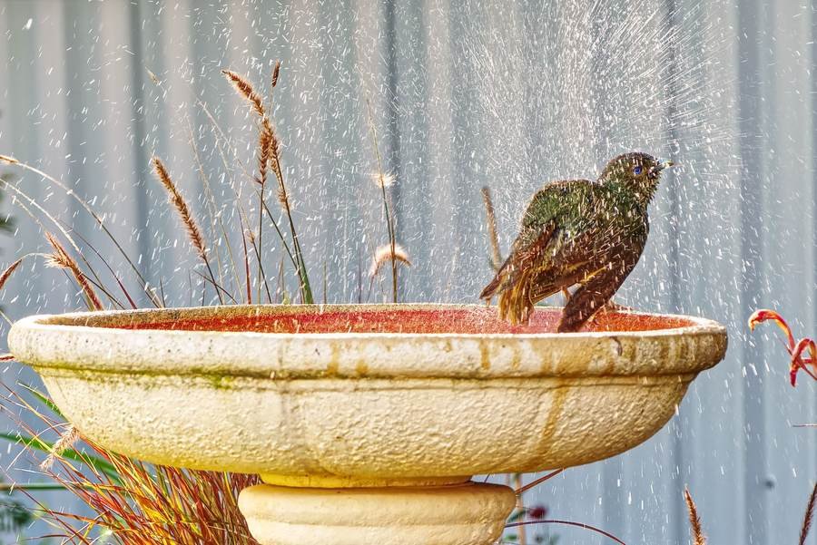 Solar Fountain Ground Bird Bath